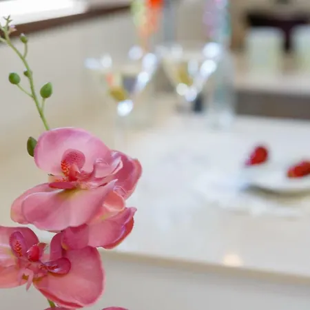 شقة Surthy Arenal Studio City Center *