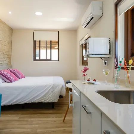Surthy Arenal Studio City Center شقة جيريز